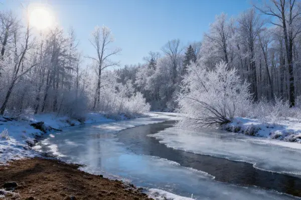 冬季冰雪森林河流景观