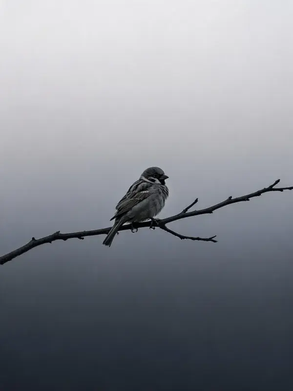 雾中枯枝上的麻雀栖息景象