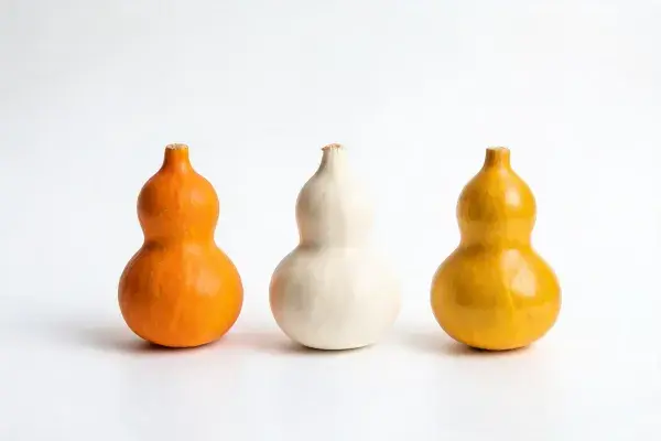 白色背景下三色葫芦工艺品展示