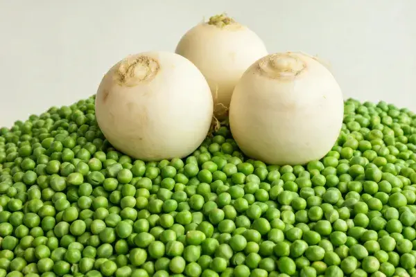 白色根茎蔬菜与青豌豆的组合展示