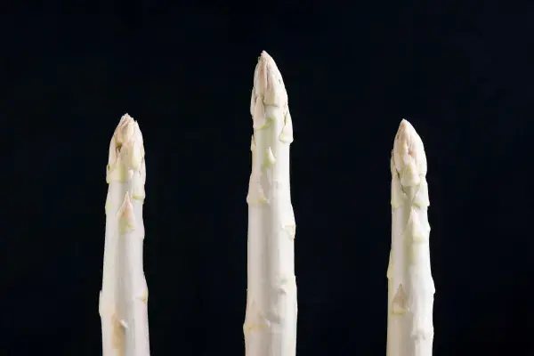 黑色背景下三支白芦笋特写场景