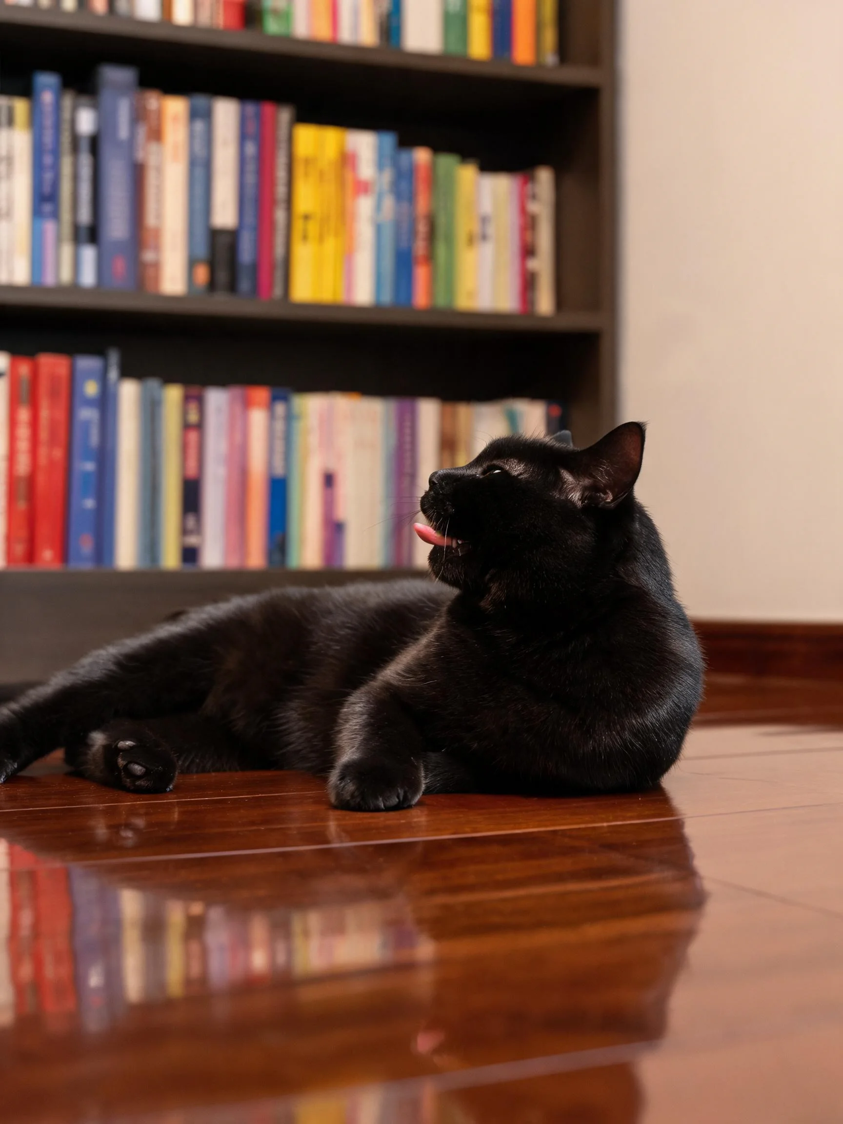 短毛黑猫,通体乌黑皮毛顺滑,正躺在木质地板上,头部转向一侧,嘴巴张开露出粉色舌头。