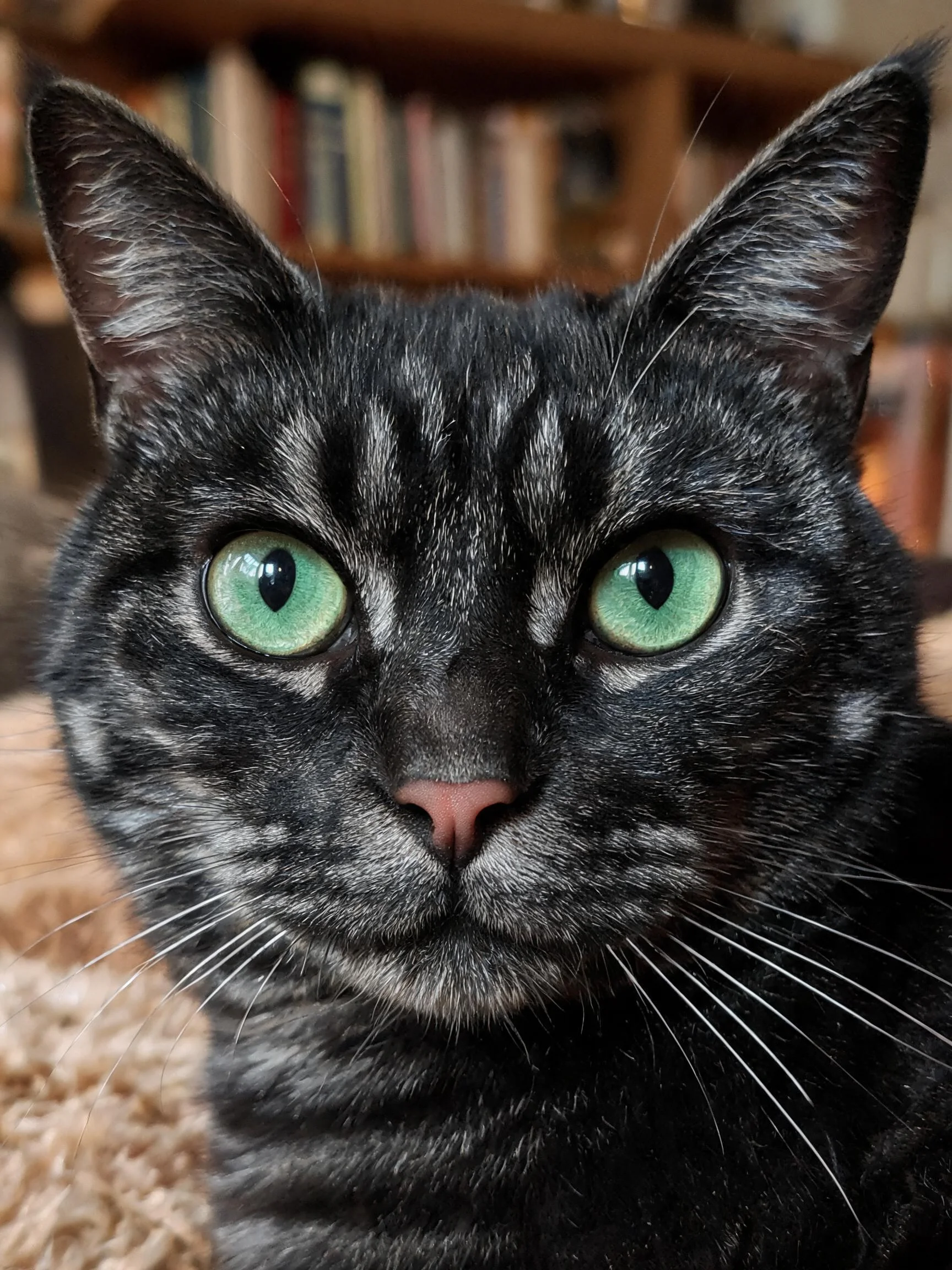 短毛虎斑猫眼部特写,绿色瞳孔明亮清澈,胡须修长且富有弹性。