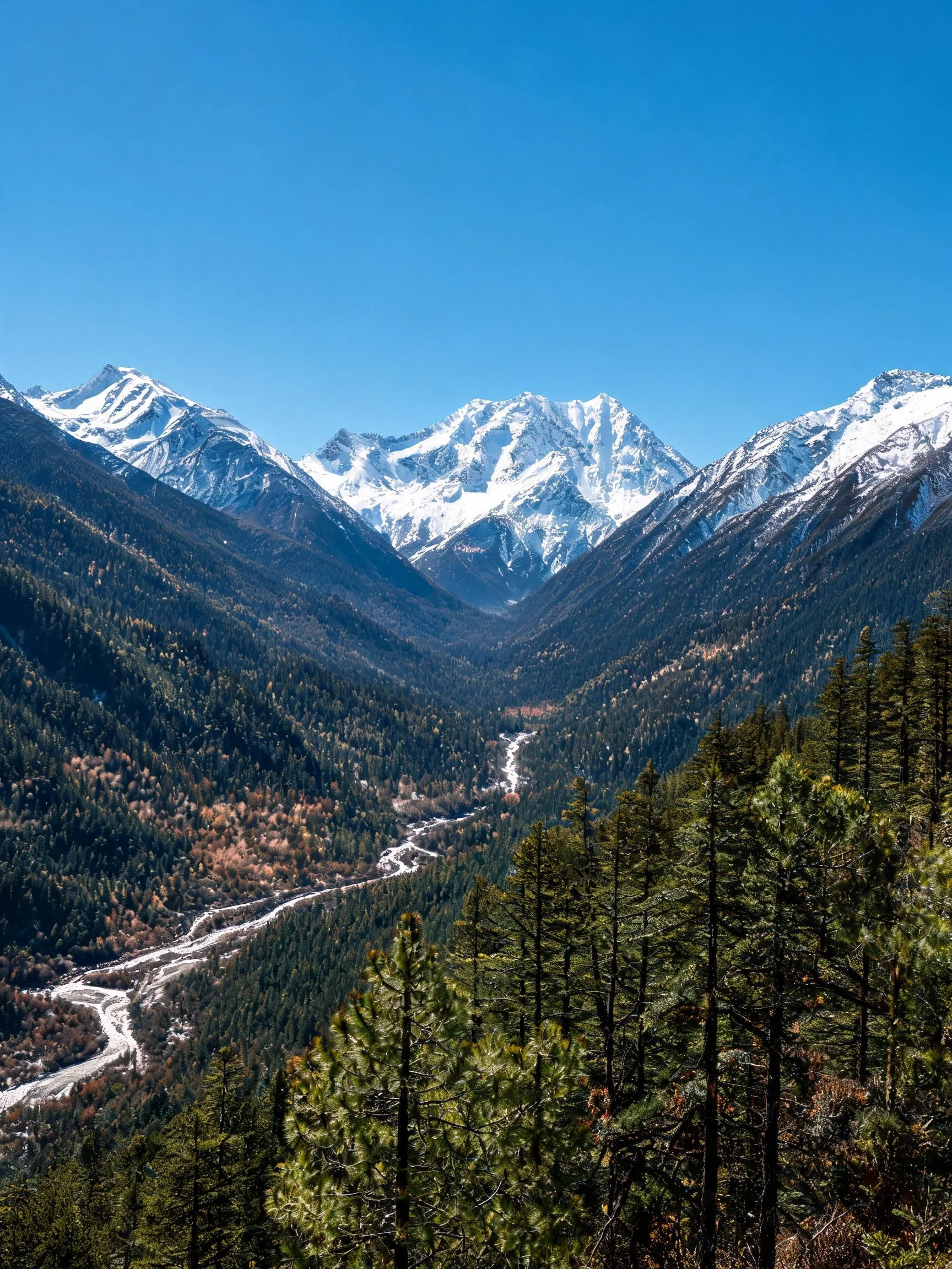 雪山峡谷风光中,远处雪山洁白醒目,山谷溪流清澈,近处森林茂密,展现出的原始风貌。