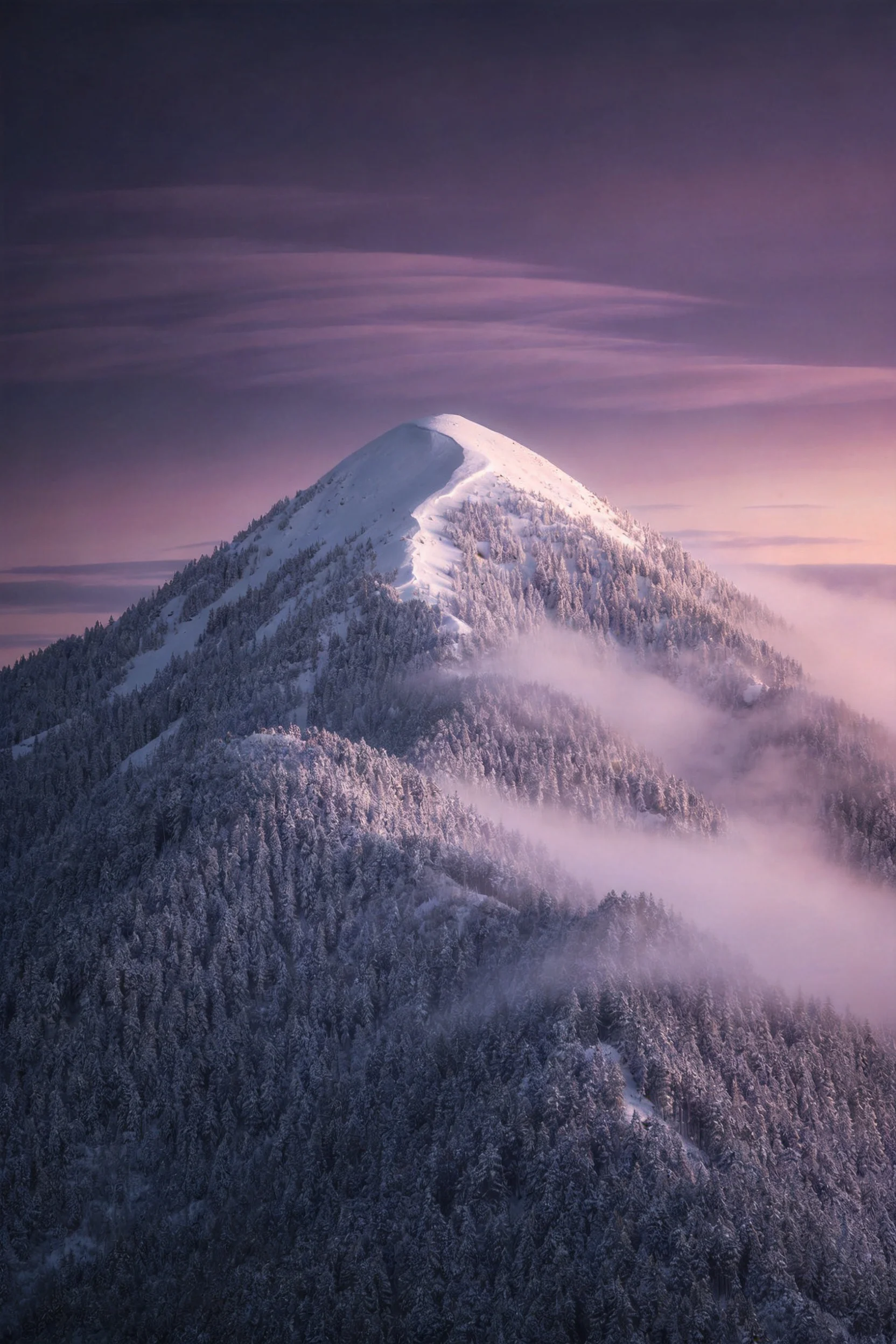 云雾环绕的雪山森林景观中,山顶积雪洁白,森林呈深灰色,云雾在山谷间飘动。