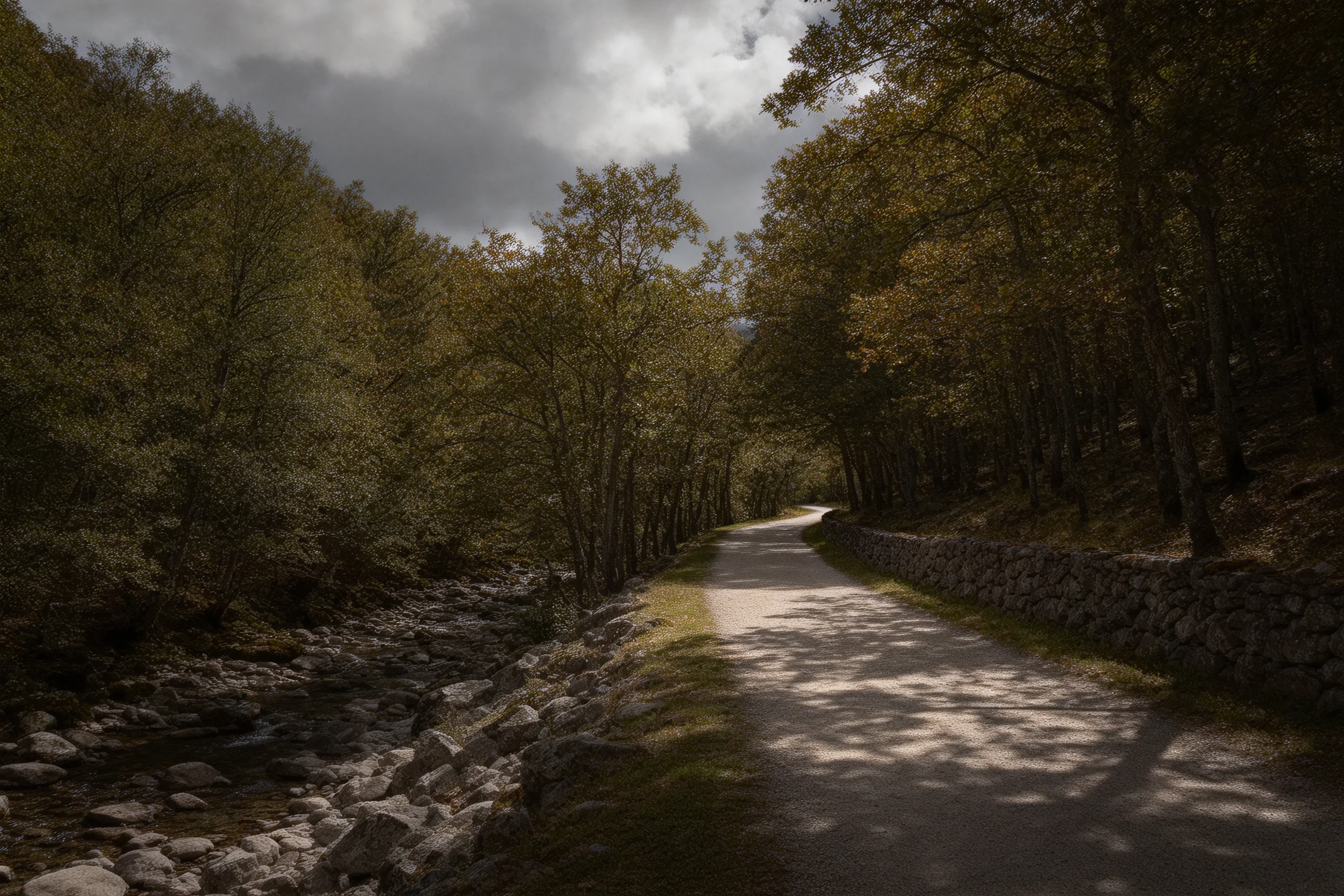 林间步道的石板路面有阳光形成的斑驳阴影,显得十分。