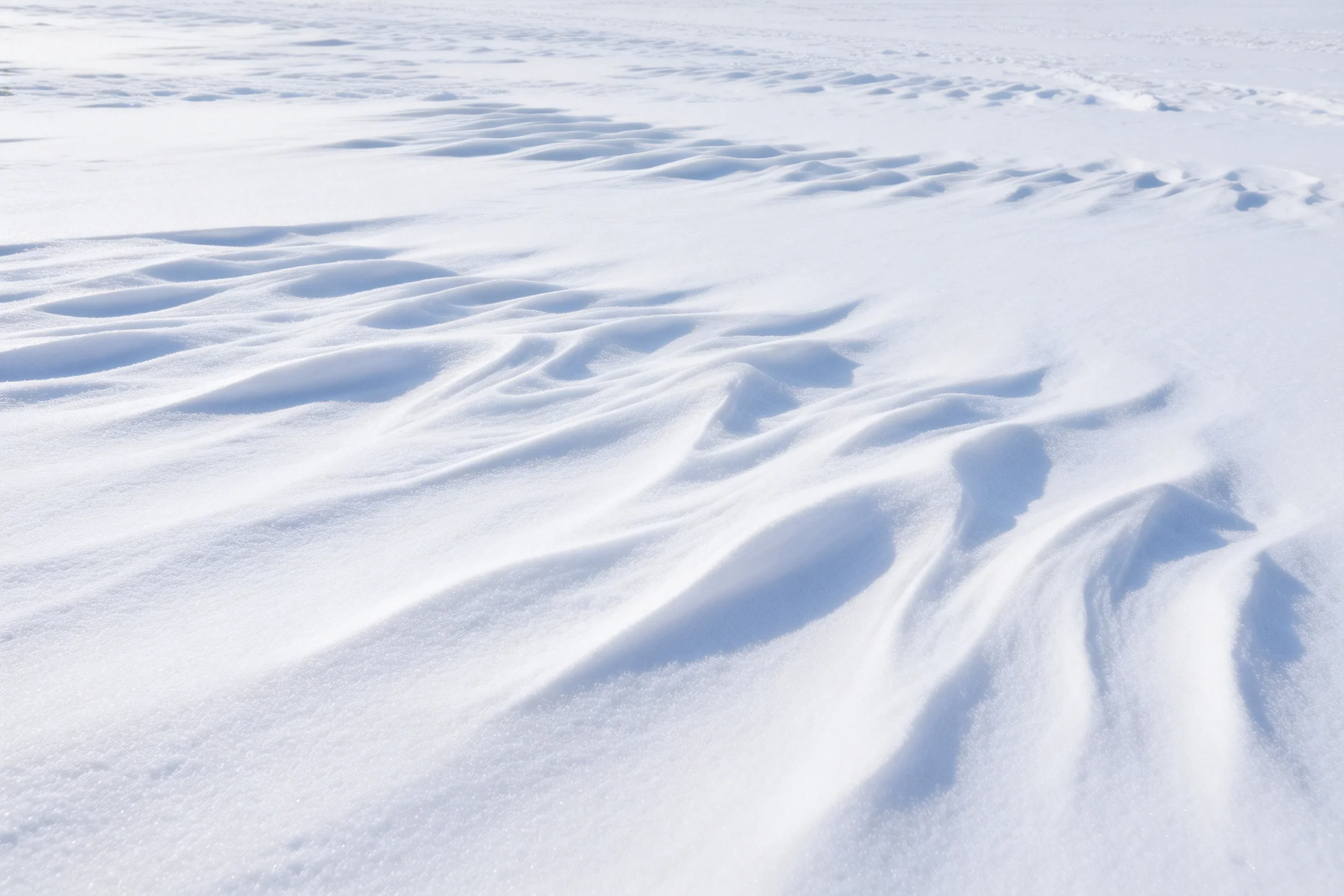 雪原地貌，洁白的雪面呈现出波浪状的起伏形态，雪层纹理清晰可见。