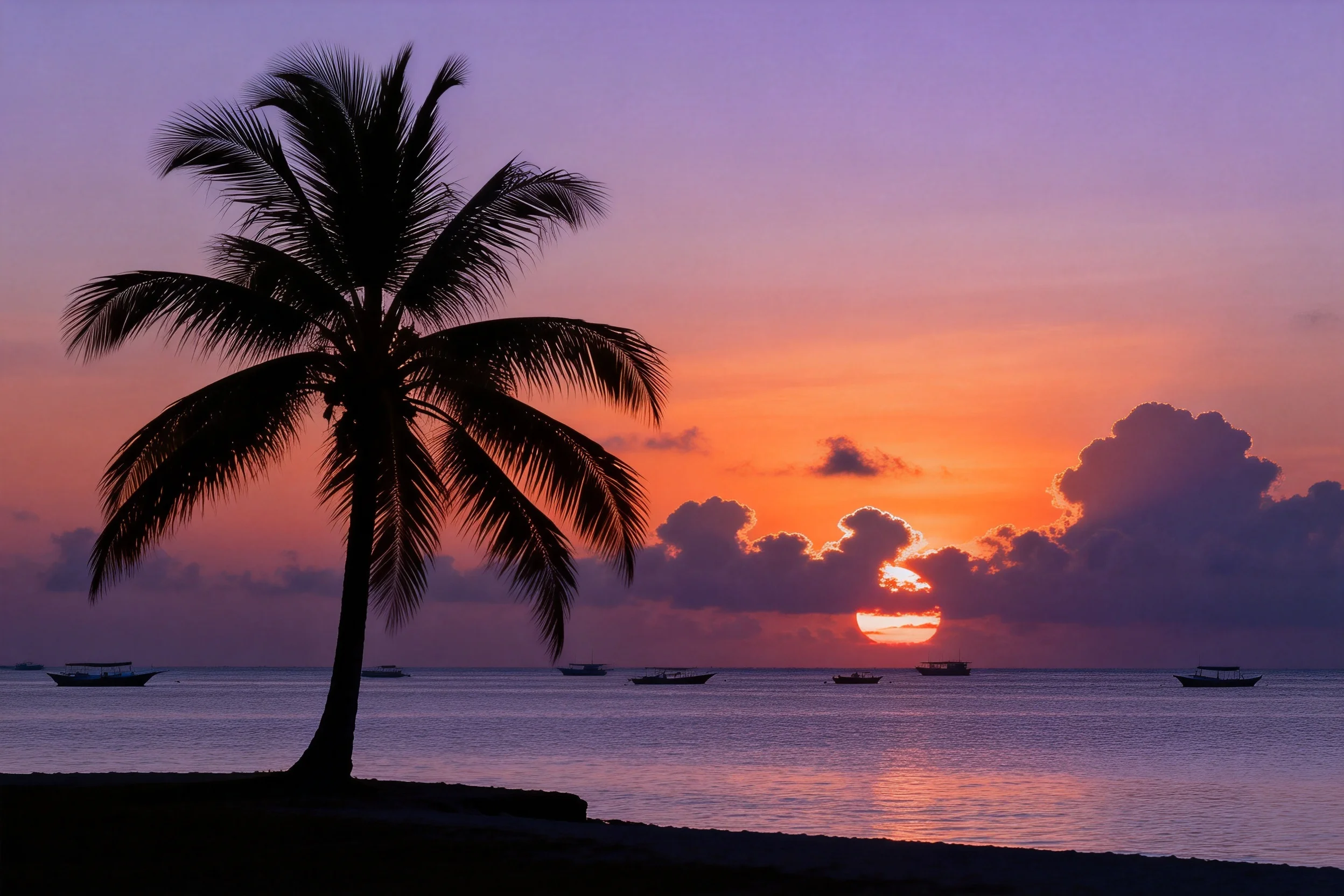 椰子树的剪影映衬在绚丽的晚霞下,叶片边缘微微卷曲,树干笔直挺拔。