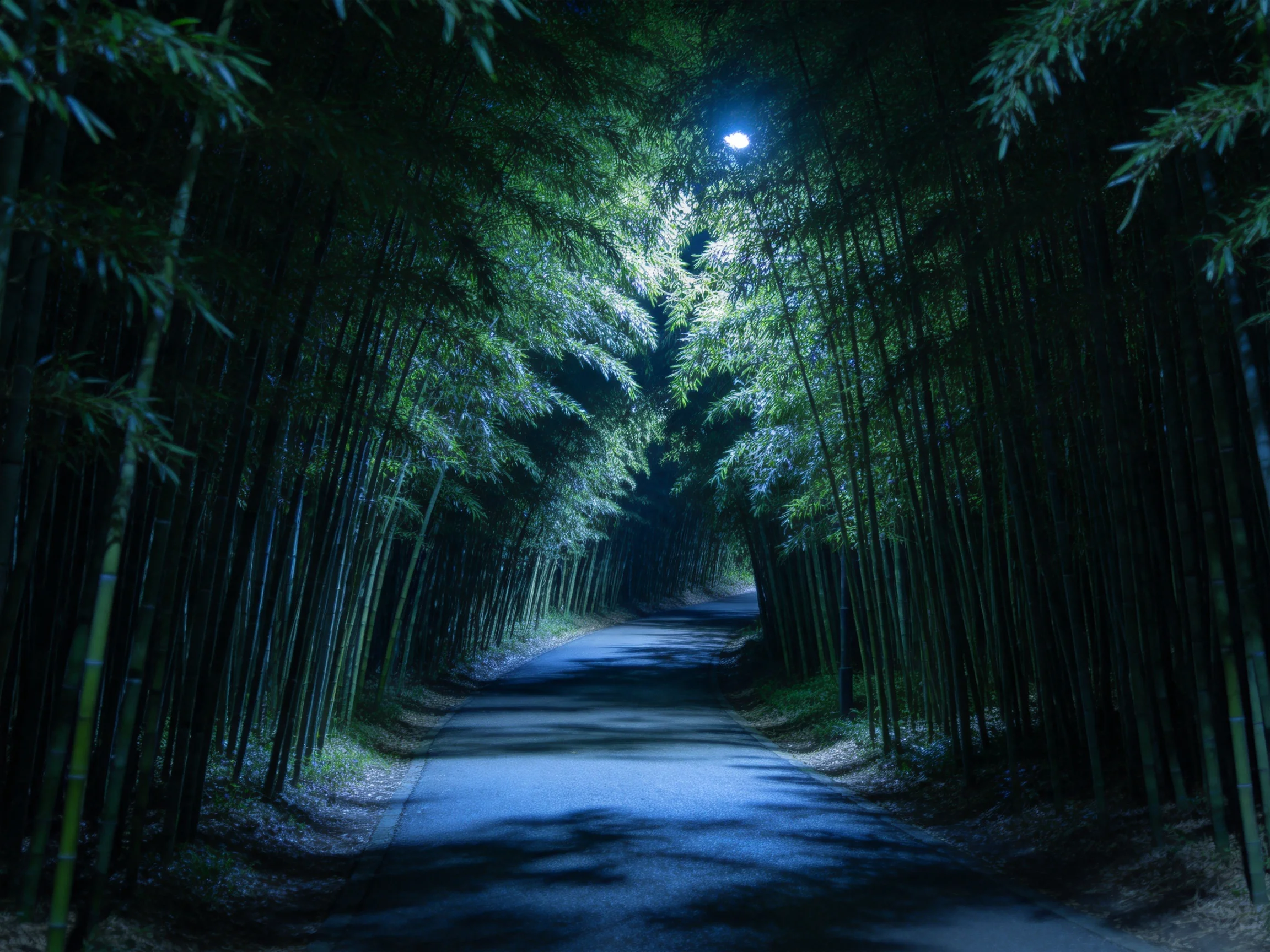 竹林步道在夜晚被路灯照亮,青绿色竹子排列在道路两侧,地面有斑驳的光影效果。