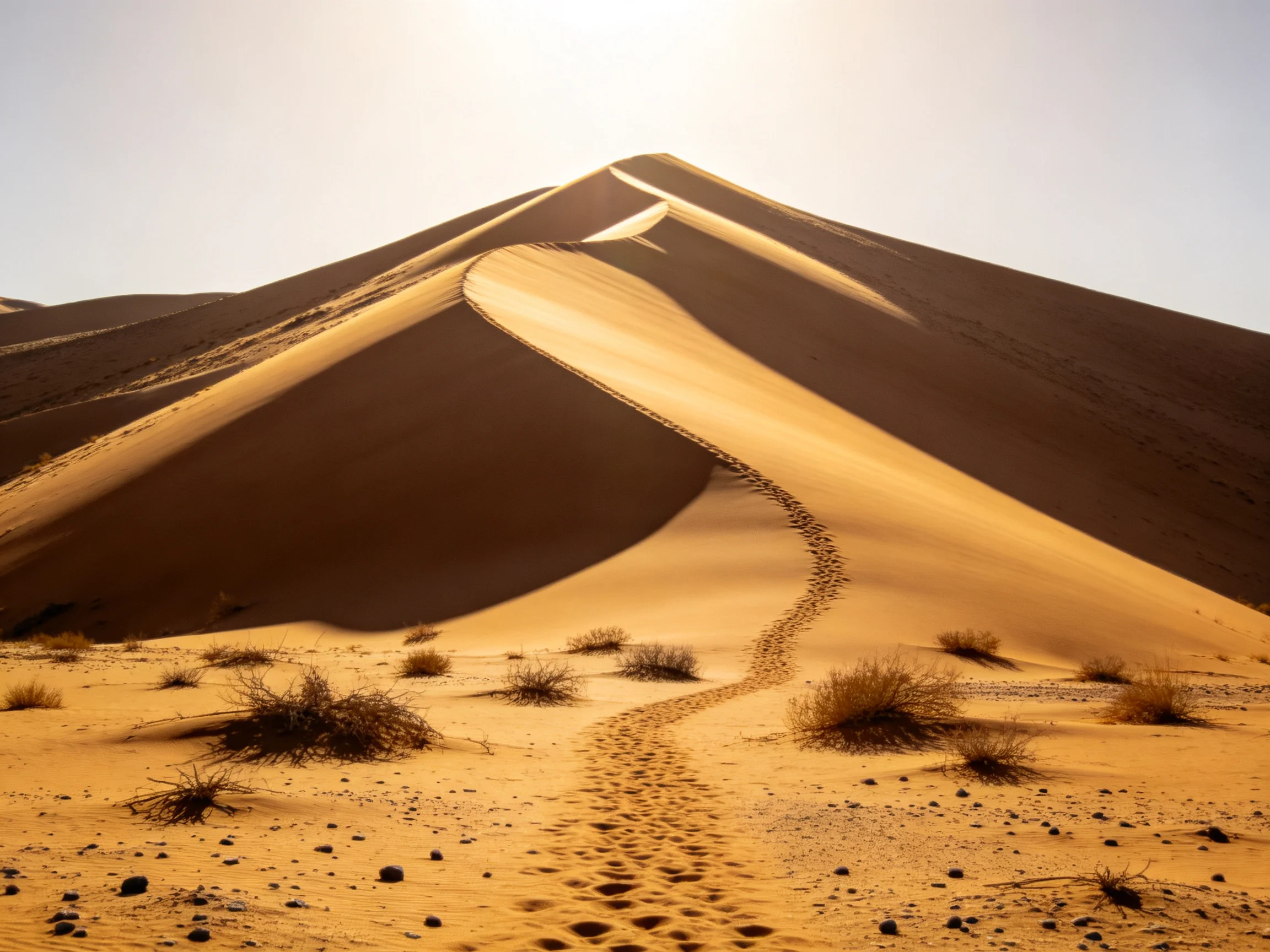 沙漠沙丘上清晰可见脚印,沙面呈现暖金色,阳光照射下明暗交错。