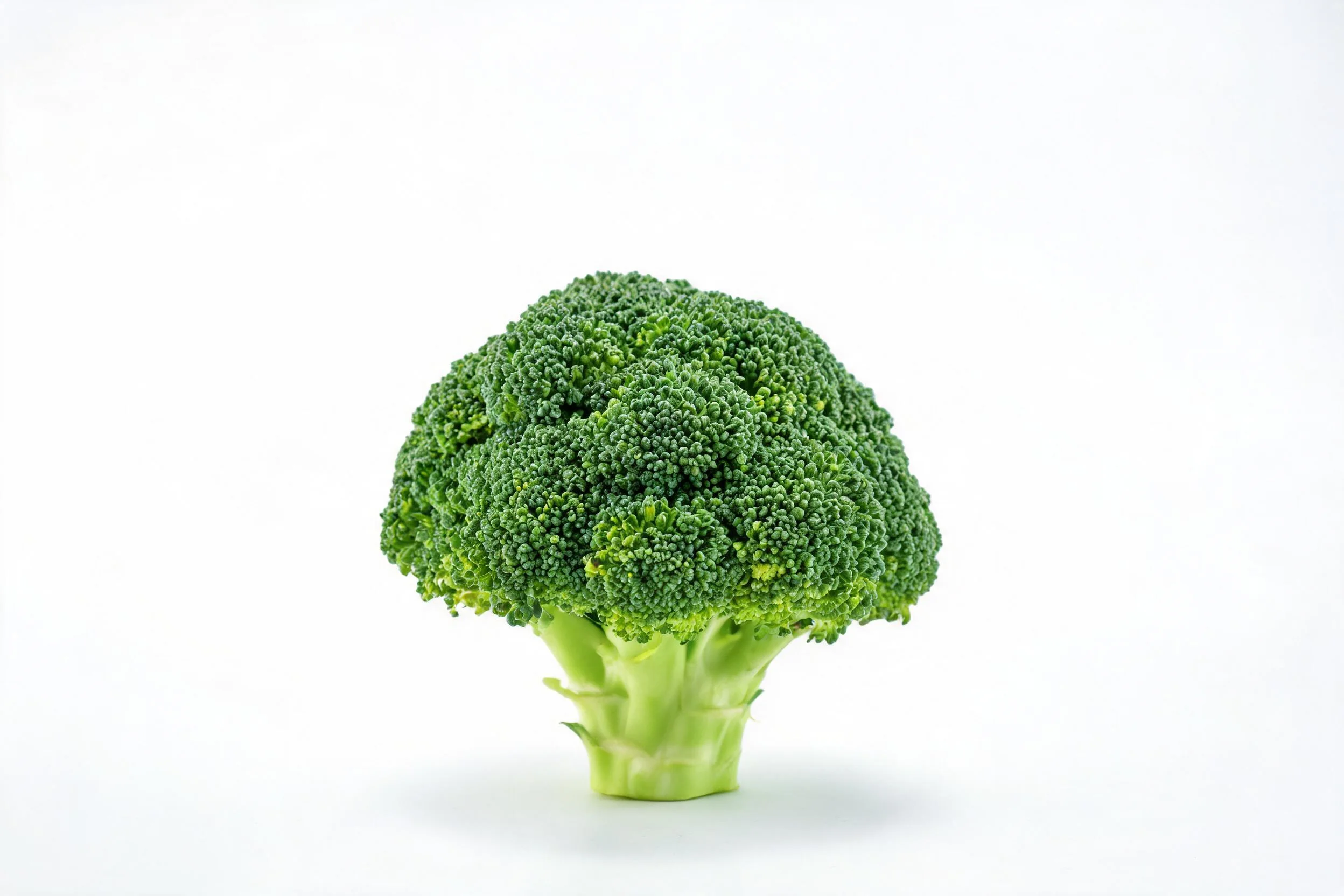 新鲜西兰花,整体呈深绿色,花簇密集,茎部为浅绿色,表面光滑有光泽。