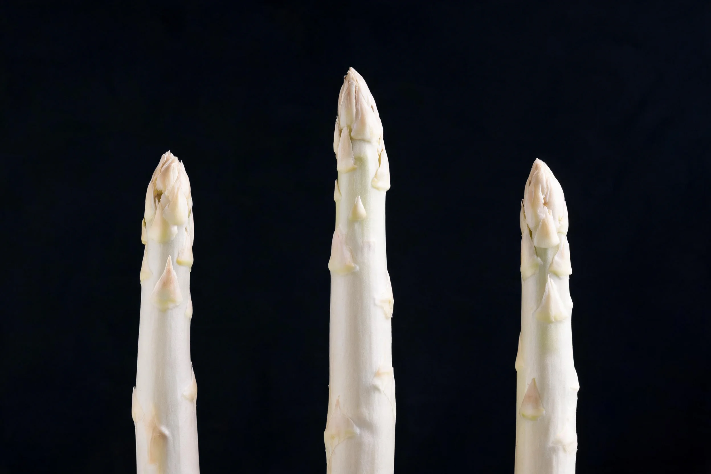 三支白色的芦笋在黑色背景下,表面光滑洁白,顶端呈尖形,纹理清晰可见。